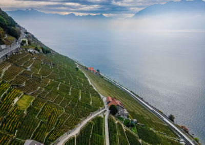 Lavaux, Vignoble en terrasse