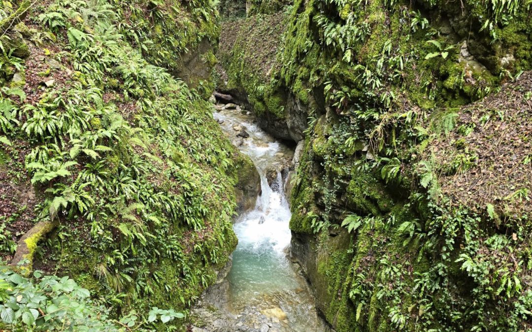 Gorges du Chauderon