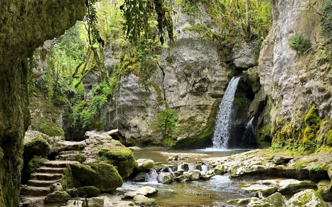 Tine de Conflens