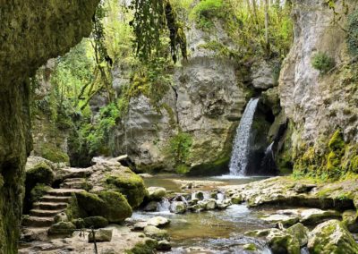 Tine de Conflens