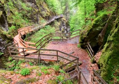 Gorges Mystérieuses de tête noire