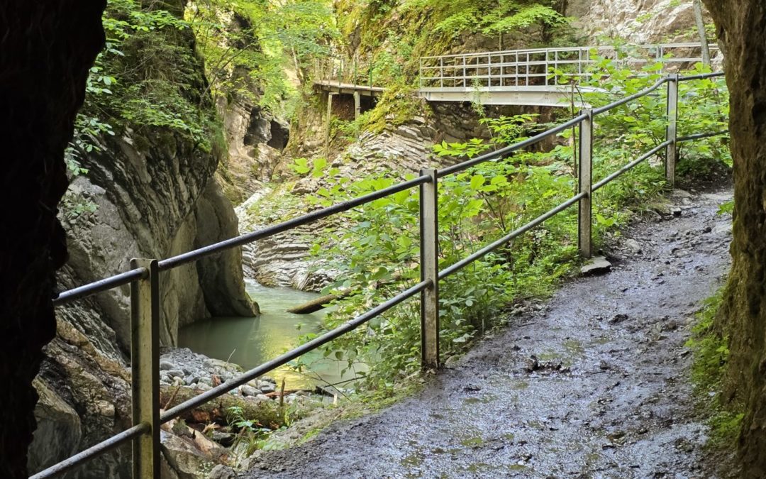 Gorges de la Jogne