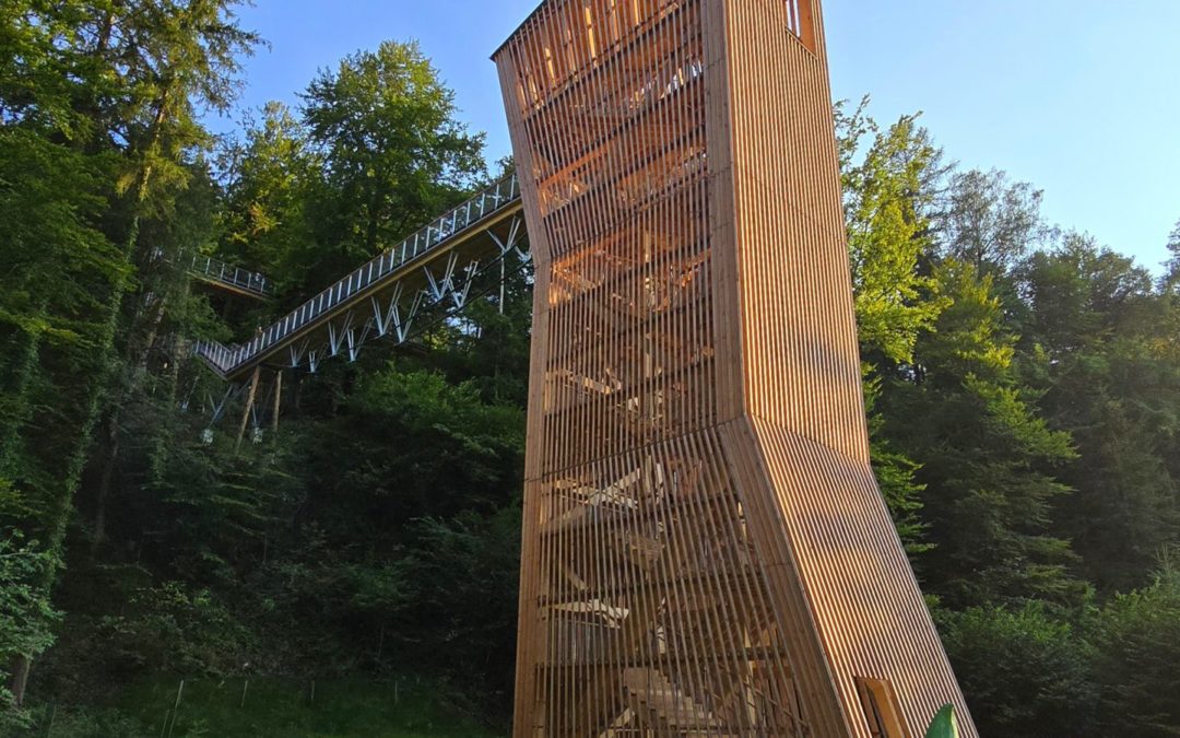 Schlaufensteg