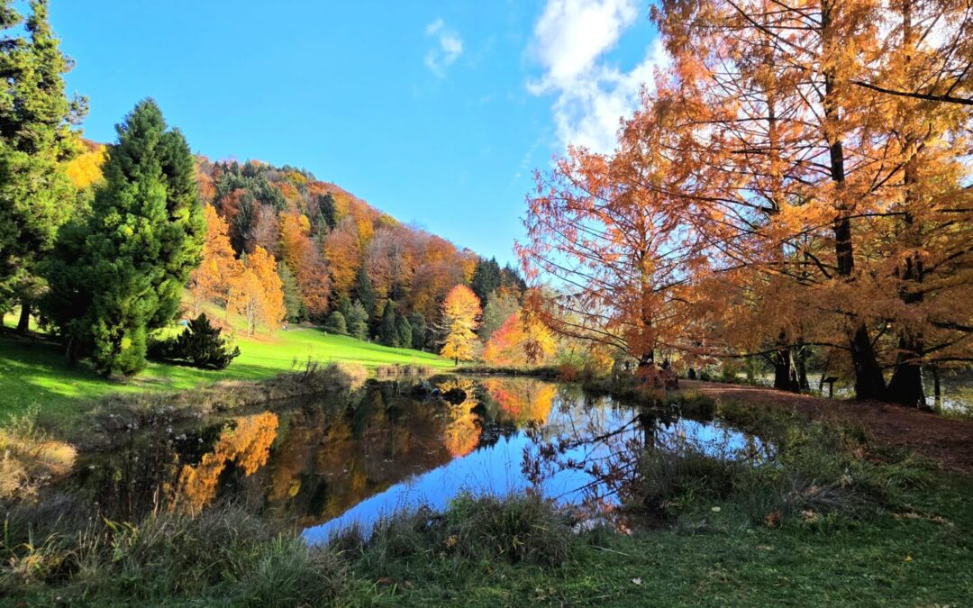 Arboretum du Vallon de l’Aubonne
