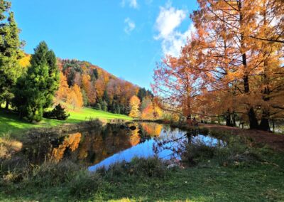 Arboretum du Vallon de l’Aubonne