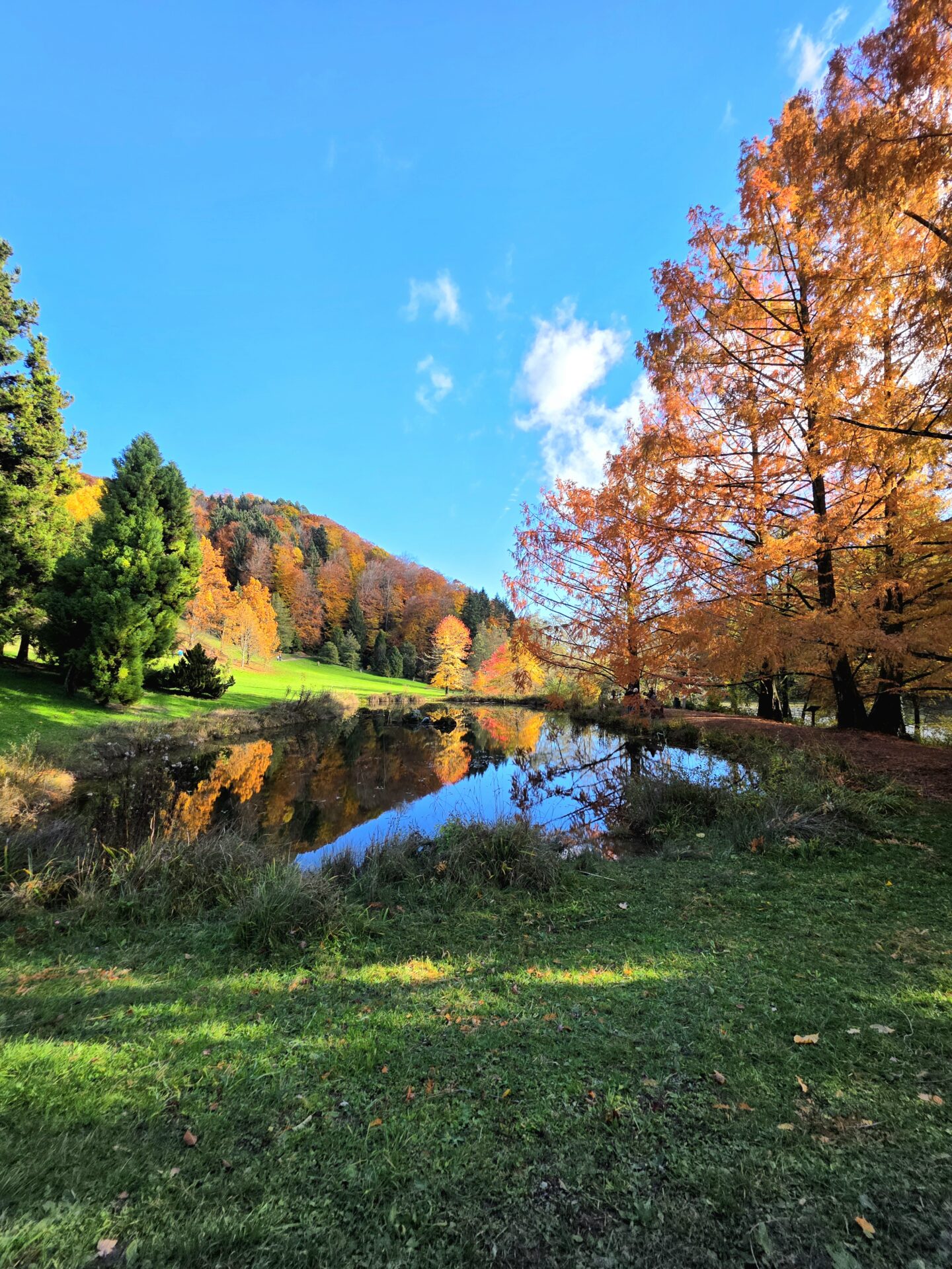 Unique en Suisse, l’Arboretum du Vallon de l’Aubonne (VD) s’étend sur près de 200 ha de forêt et prairies, et rassemble plus de 3 000 essences ligneuses venues des zones tempérées. Promenades familiales, vergers d’antan, Musée du Bois et nature à tous les saisons vous attendent. Randonnée Arboretum du Vallon de l’Aubonne parking Arboretum du Vallon de l’Aubonne accès Arboretum du Vallon de l’Aubonne itinéraire Arboretum du Vallon de l’Aubonne parcours, Gipfel Arboretum du Vallon de l’Aubonne Wanderung Arboretum du Vallon de l’Aubonne hike Arboretum du Vallon de l’Aubonne , randovalais raquettes à Neige Randonnée Montagne, randonnée pédestre, Itinéraire randonnée, chemin, parcours GPS, tracé gpx, SwissTopo, randonnée, Suisse-Rando, Schweizer wanderwege, idée de randonnée pédestre en Suisse, randonnée en Suisse, randotherapie, randothérapie, randotherapie.fun, Salut pétole, adjeu pétole, ça joue ou bien ? Tourisme suisse, tourisme local, Tcheu c'est beau ! T'cheu c'est beau! tcheucestbeau.ch