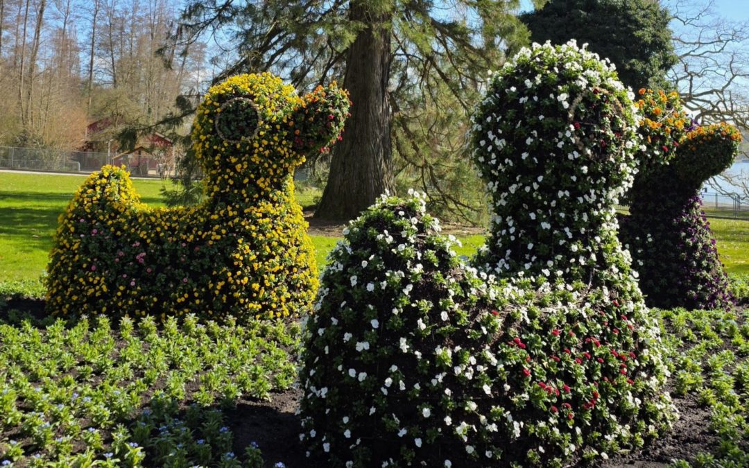 île de Mainau (DE)