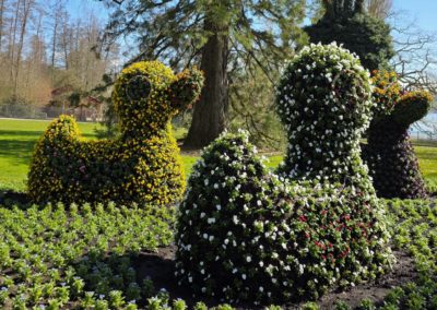 île de Mainau (DE)