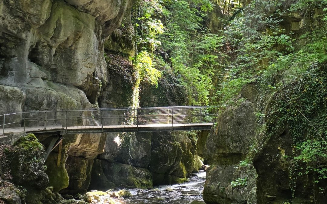 Les Gorges de Taubenloch