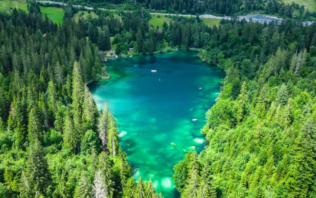 Crestasee
