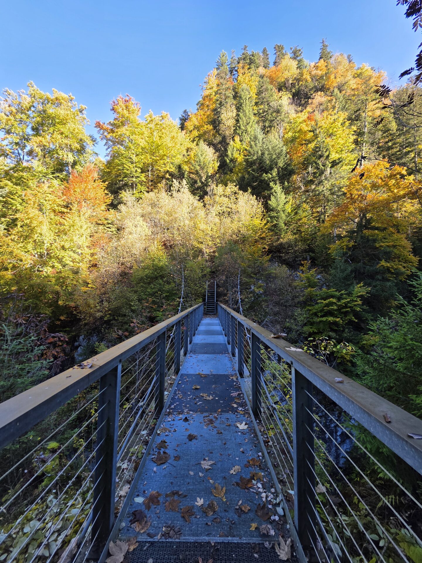 Explorez les Gorges de l’Avançon dans le canton de Vaud : randonnée accessible, passerelle vertigineuse, paysages sauvages et forêt fraîche le long du torrent. À 1h55 depuis Frenières ou 45 min depuis Les Plans-sur-Bex — idéale pour une escapade nature en Suisse. Randonnée Gorges de l’Avançon parking Gorges de l’Avançon accès Gorges de l’Avançon itinéraire Gorges de l’Avançon parcours, Gipfel Gorges de l’Avançon Wanderung Gorges de l’Avançon hike Gorges de l’Avançon, randovalais raquettes à Neige Randonnée Montagne, randonnée pédestre, Itinéraire randonnée, chemin, parcours GPS, tracé gpx, SwissTopo, randonnée, Suisse-Rando, Schweizer wanderwege, idée de randonnée pédestre en Suisse, randonnée en Suisse, randotherapie, randothérapie, randotherapie.fun, Tcheu c'est beau ! T'cheu c'est beau! tcheucestbeau.ch
