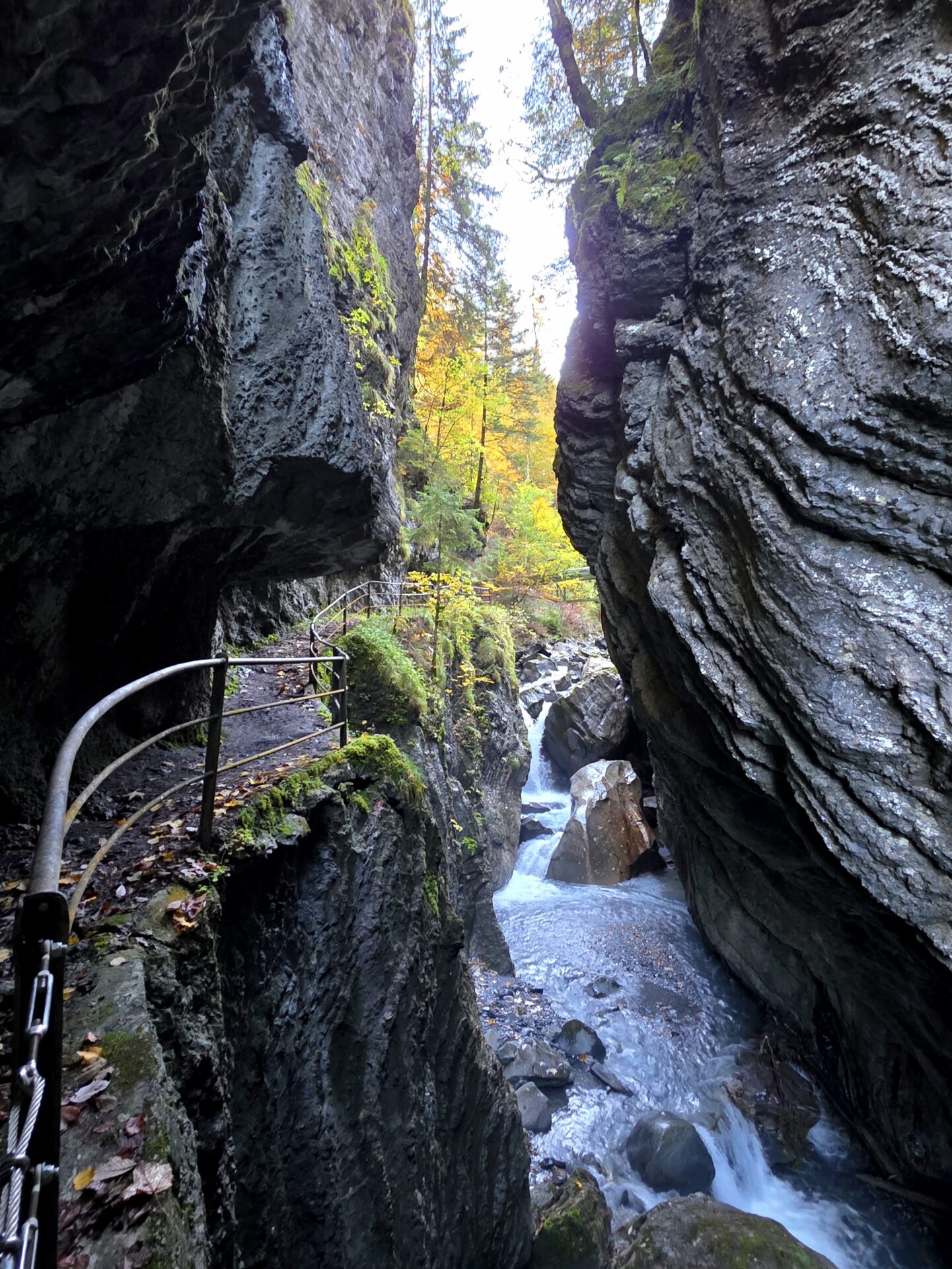 Explorez les Gorges de l’Avançon dans le canton de Vaud : randonnée accessible, passerelle vertigineuse, paysages sauvages et forêt fraîche le long du torrent. À 1h55 depuis Frenières ou 45 min depuis Les Plans-sur-Bex — idéale pour une escapade nature en Suisse. Randonnée Gorges de l’Avançon parking Gorges de l’Avançon accès Gorges de l’Avançon itinéraire Gorges de l’Avançon parcours, Gipfel Gorges de l’Avançon Wanderung Gorges de l’Avançon hike Gorges de l’Avançon, randovalais raquettes à Neige Randonnée Montagne, randonnée pédestre, Itinéraire randonnée, chemin, parcours GPS, tracé gpx, SwissTopo, randonnée, Suisse-Rando, Schweizer wanderwege, idée de randonnée pédestre en Suisse, randonnée en Suisse, randotherapie, randothérapie, randotherapie.fun, Tcheu c'est beau ! T'cheu c'est beau! tcheucestbeau.ch