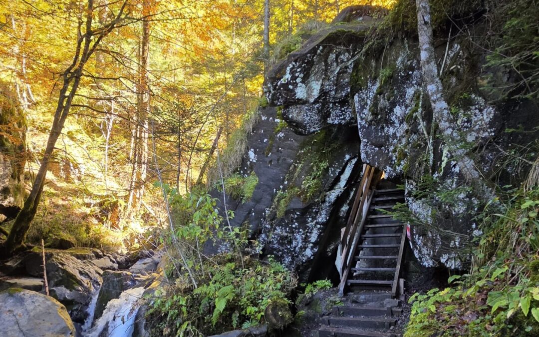 Groges de l’Avançon