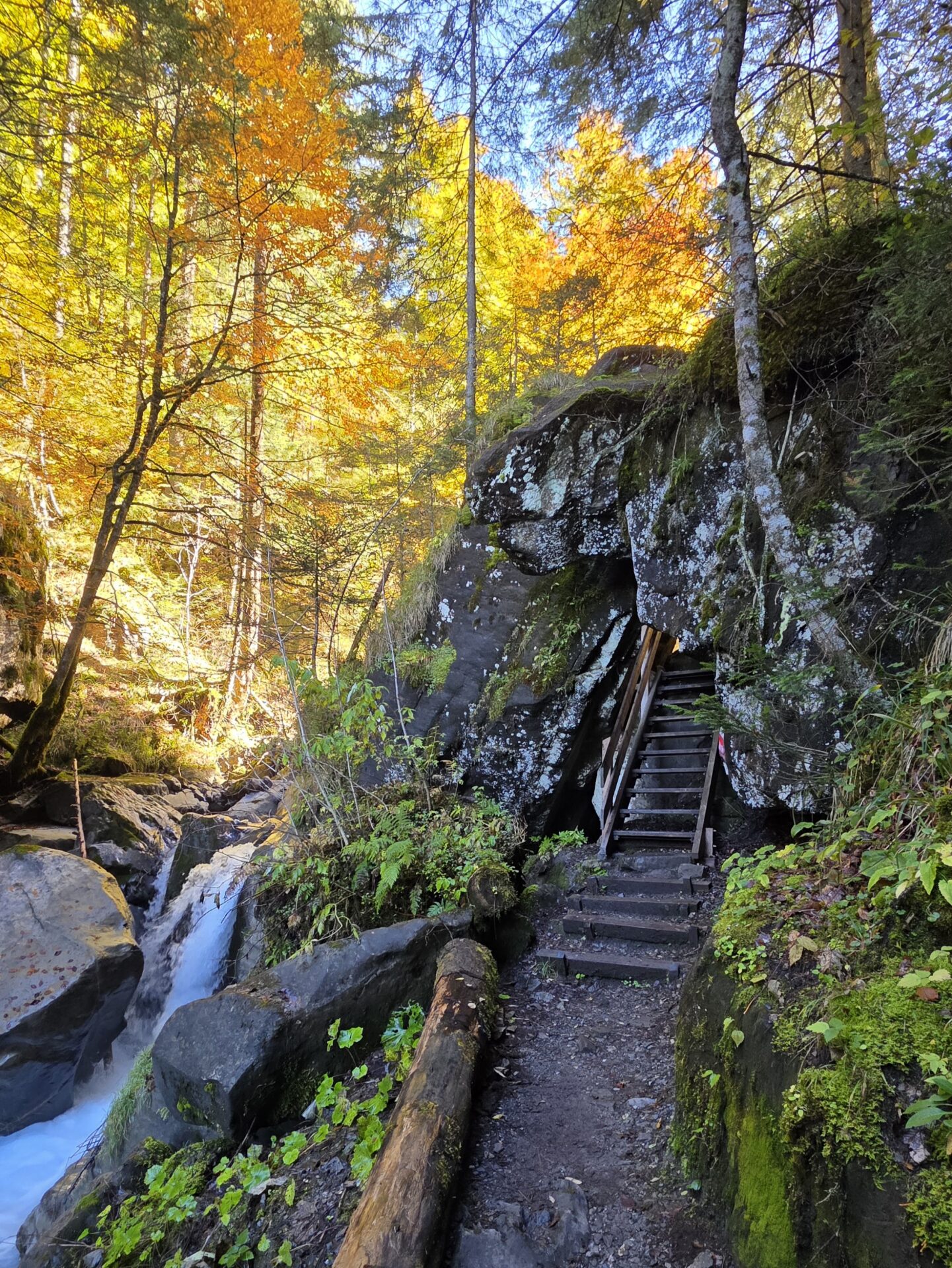 Explorez les Gorges de l’Avançon dans le canton de Vaud : randonnée accessible, passerelle vertigineuse, paysages sauvages et forêt fraîche le long du torrent. À 1h55 depuis Frenières ou 45 min depuis Les Plans-sur-Bex — idéale pour une escapade nature en Suisse. Randonnée Gorges de l’Avançon parking Gorges de l’Avançon accès Gorges de l’Avançon itinéraire Gorges de l’Avançon parcours, Gipfel Gorges de l’Avançon Wanderung Gorges de l’Avançon hike Gorges de l’Avançon, randovalais raquettes à Neige Randonnée Montagne, randonnée pédestre, Itinéraire randonnée, chemin, parcours GPS, tracé gpx, SwissTopo, randonnée, Suisse-Rando, Schweizer wanderwege, idée de randonnée pédestre en Suisse, randonnée en Suisse, randotherapie, randothérapie, randotherapie.fun, Tcheu c'est beau ! T'cheu c'est beau! tcheucestbeau.ch