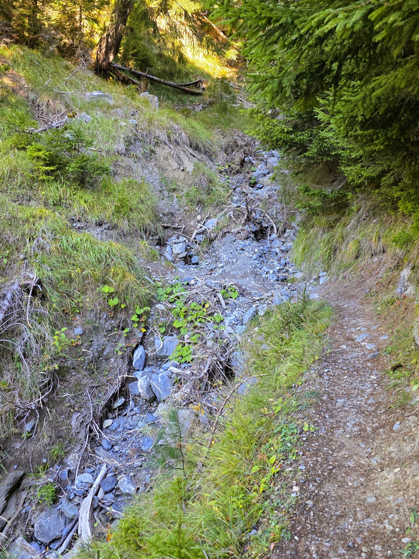 Nichée au cœur du Valais, Derborence séduit par son lac sauvage, ses falaises impressionnantes et sa forêt de mélèzes dorés en automne. Un lieu magique où la nature préservée invite à la sérénité et à la contemplation, idéal pour les amoureux de randonnées et de paysages alpins authentiques. Randonnée Derborenceparking Derborenceaccès Derborenceitinéraire Derborenceparcours, Gipfel DerborenceWanderung Derborencehike Lac du Grand Désert, randovalais raquettes à Neige Randonnée Montagne, randonnée pédestre, Itinéraire randonnée, chemin, parcours GPS, tracé gpx, SwissTopo, randonnée, Suisse-Rando, Schweizer wanderwege, idée de randonnée pédestre en Suisse, randonnée en Suisse, randotherapie, randothérapie, randotherapie.fun, Tcheu c'est beau ! T'cheu c'est beau! tcheucestbeau.ch