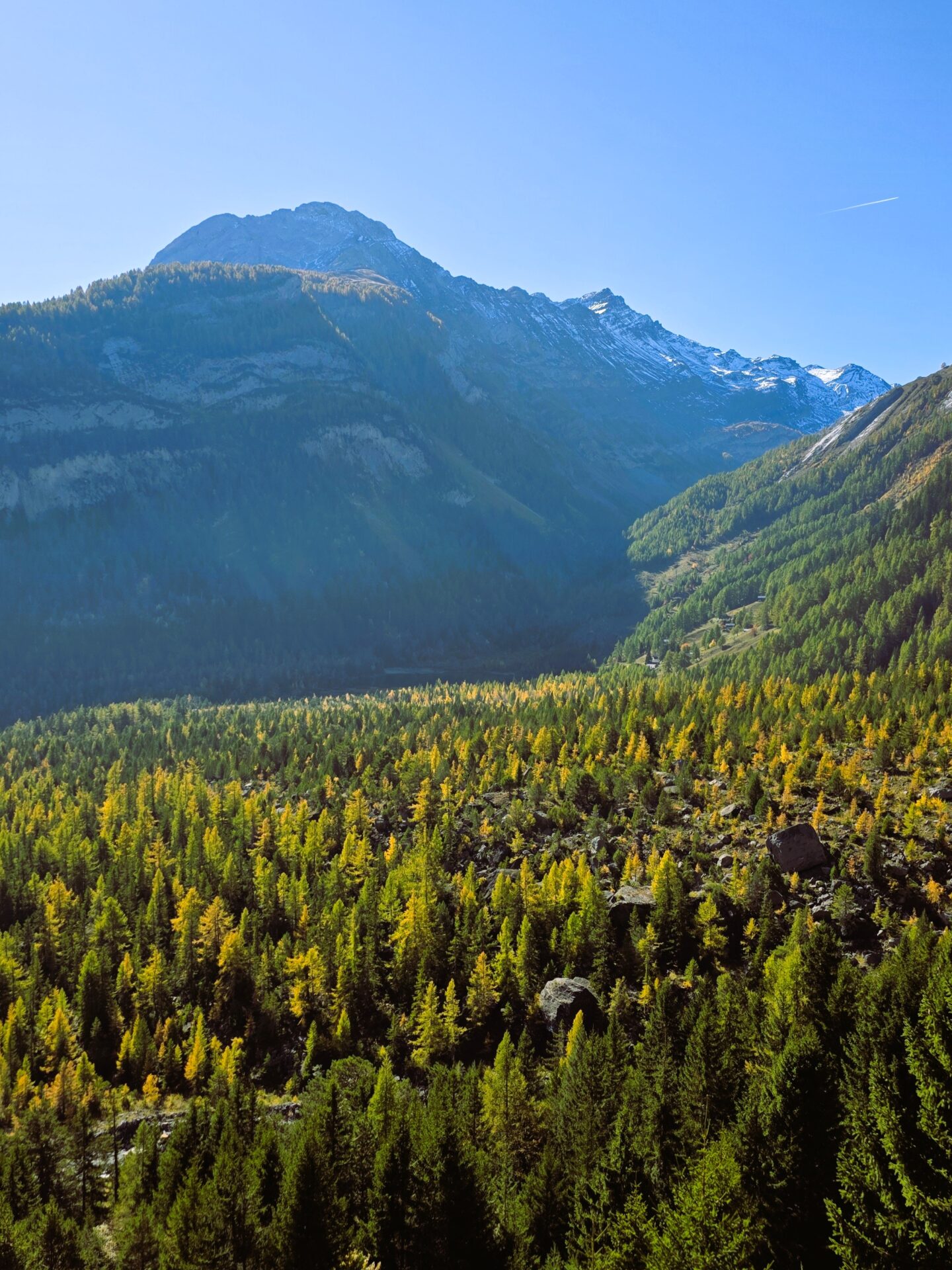 Nichée au cœur du Valais, Derborence séduit par son lac sauvage, ses falaises impressionnantes et sa forêt de mélèzes dorés en automne. Un lieu magique où la nature préservée invite à la sérénité et à la contemplation, idéal pour les amoureux de randonnées et de paysages alpins authentiques. Randonnée Derborenceparking Derborenceaccès Derborenceitinéraire Derborenceparcours, Gipfel DerborenceWanderung Derborencehike Lac du Grand Désert, randovalais raquettes à Neige Randonnée Montagne, randonnée pédestre, Itinéraire randonnée, chemin, parcours GPS, tracé gpx, SwissTopo, randonnée, Suisse-Rando, Schweizer wanderwege, idée de randonnée pédestre en Suisse, randonnée en Suisse, randotherapie, randothérapie, randotherapie.fun, Tcheu c'est beau ! T'cheu c'est beau! tcheucestbeau.ch