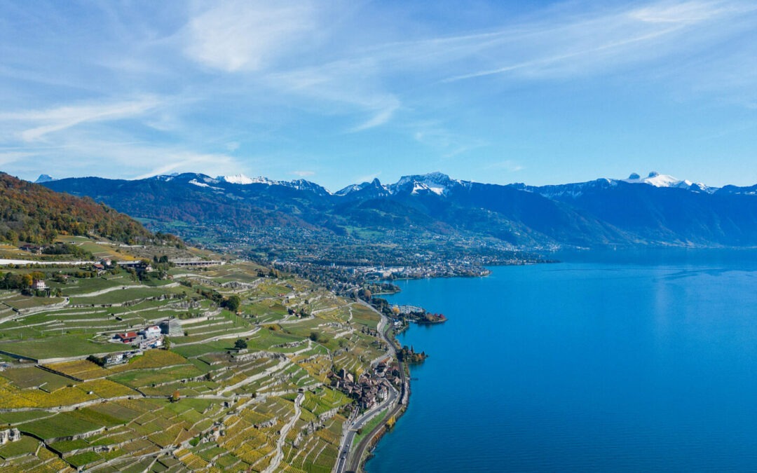 Lavaux, Vignoble en terrasse