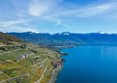 Lavaux, Vignoble en terrasse