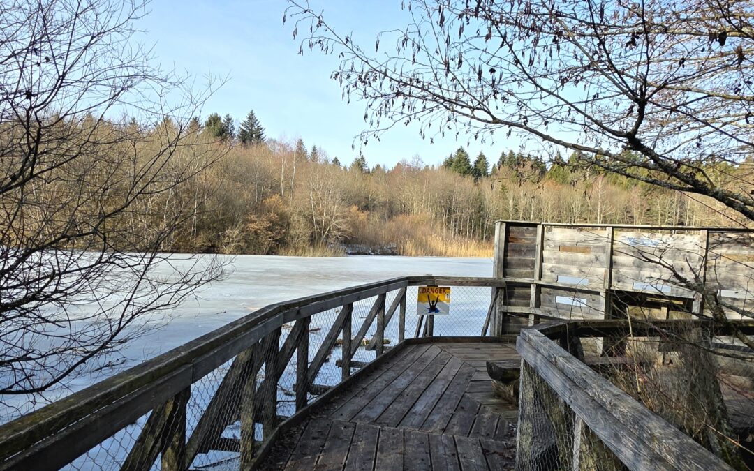 Parc Naturel du Jorat