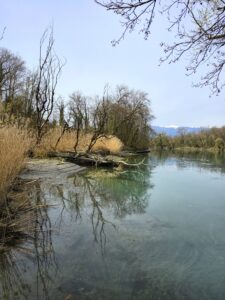 Explore la Réserve Naturelle du Moulin Vert à Genève, une randonnée facile et immersive entre rivière, nature sauvage et paysages ressourçants. Randonnée Réserve Naturelle du Moulin Vert à Genève parking Réserve Naturelle du Moulin Vert à Genève accès Réserve Naturelle du Moulin Vert à Genève itinéraire Réserve Naturelle du Moulin Vert à Genève parcours, Gipfel Réserve Naturelle du Moulin Vert à Genève Wanderung Réserve Naturelle du Moulin Vert à Genève hike Réserve Naturelle du Moulin Vert à Genève, randovalais raquettes à Neige Randonnée Montagne, randonnée pédestre, Itinéraire randonnée, chemin, parcours GPS, tracé gpx, SwissTopo, randonnée, Suisse-Rando, Schweizer wanderwege, idée de randonnée pédestre en Suisse, randonnée en Suisse, randotherapie, randothérapie, randotherapie.fun, Tcheu c'est beau ! T'cheu c'est beau! tcheucestbeau.ch