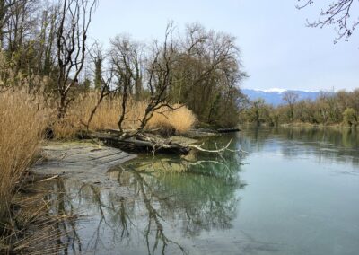 Réserve naturelle du Moulin Vert