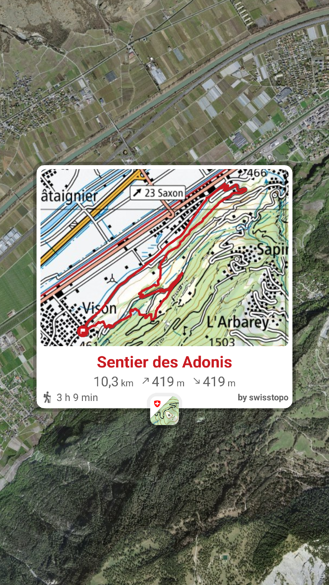Au printemps, le sentier des Adonis entre Charrat et Saxon se transforme en mer de fleurs jaunes. Une randonnée colorée et inoubliable en Valais. Randonnée Sentier des adonis parking Sentier des adonis accès Sentier des adonis itinéraire Sentier des adonis parcours, Gipfel Sentier des adonis Wanderung Sentier des adonis à charrat hike Sentier des adonis saxon, randovalais raquettes à Neige Randonnée Montagne, randonnée pédestre, Itinéraire randonnée, chemin, parcours GPS, tracé gpx, SwissTopo, randonnée, Suisse-Rando, Schweizer wanderwege, idée de randonnée pédestre en Suisse, randonnée en Suisse, randotherapie, randothérapie, randotherapie.fun, Tcheu c'est beau ! T'cheu c'est beau! tcheucestbeau.ch