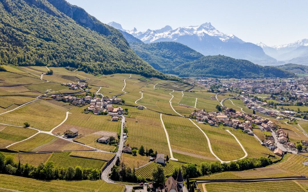 Sentier des Vignes Aigle-Yvorne