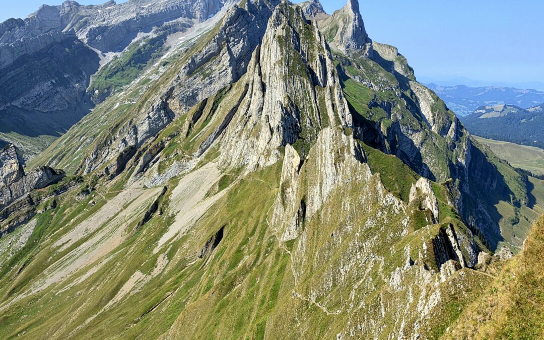 Schäfler