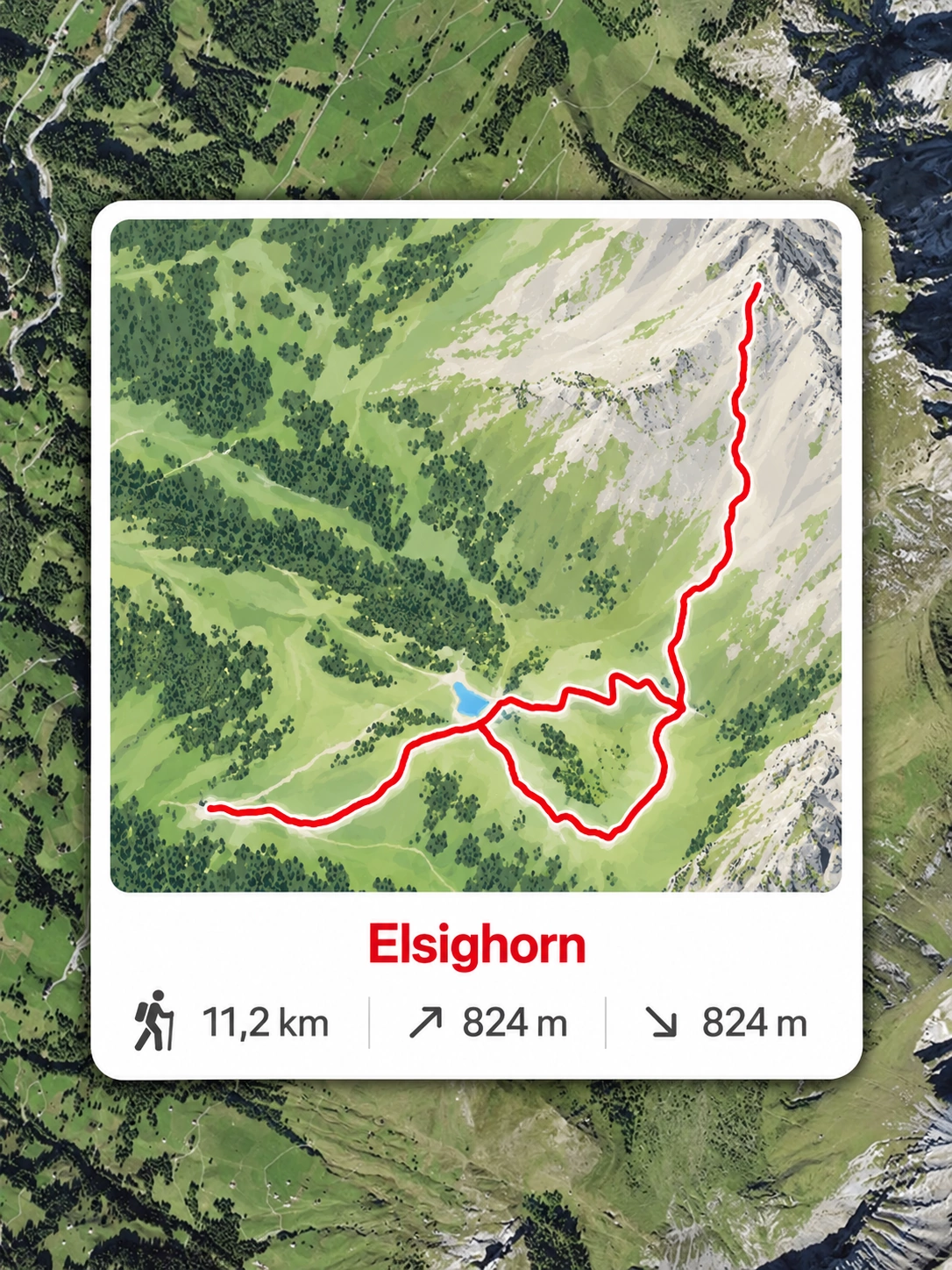 Randonnée à l’Elsighorn depuis Höchst Carte de la randonnée à l’Elsighorn depuis Höchst, avec le tracé rouge vers le sommet et une boucle dans les alpages.