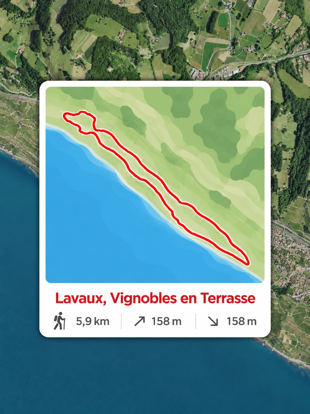 Randonnée dans les vignes de Lavaux au-dessus du lac Léman Carte de la randonnée dans les vignobles de Lavaux, avec une boucle rouge allongée au-dessus du lac Léman représenté en bleu.